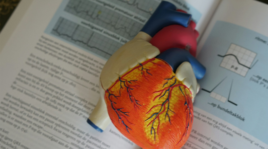 ECG vs EKG: Clearing Up the Confusion